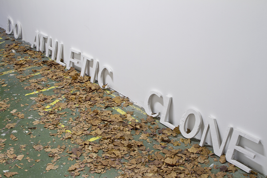http://www.celinevache-olivieri.com/files/gimgs/98_tcd2.jpg